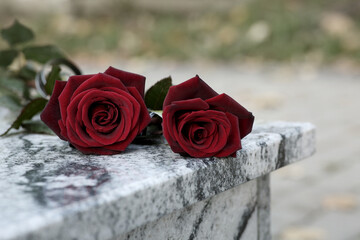 Red roses on granite tombstone outdoors, space for text. Funeral ceremony