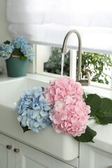 Beautiful light blue and pink hortensia flowers in kitchen sink