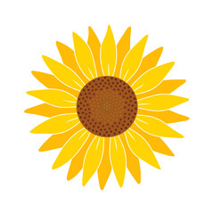 Yellow sunflower. Flat vector illustration isolated on white background.