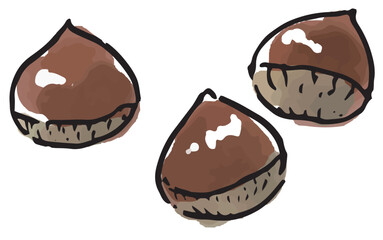 秋の味覚　栗