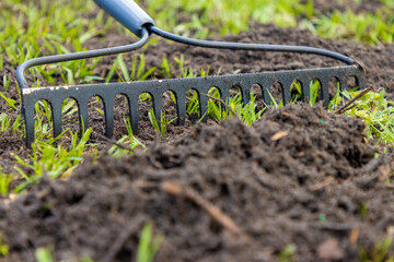 Raking soil into lawn