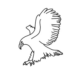 eagle line sketch