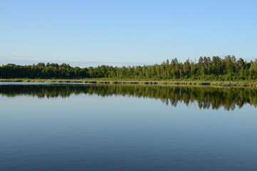 Beautiful lake landscape. Forest lake, calm water