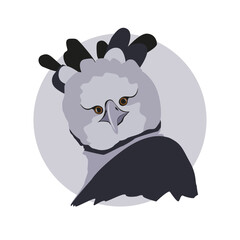Eagle draw, Bird illustration, Harpy eagle, National bird of Panamá