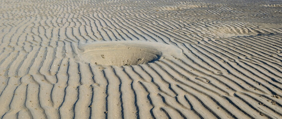 Low tide at Sandgate with Stingray craters. © Debra