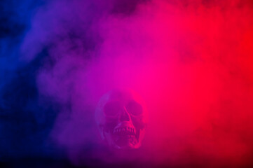 Human skull in pink and blue smoke on a black background. Halloween.
