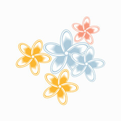 illustration of frangipani flower, vector art.