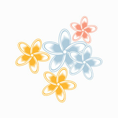 Obraz premium illustration of frangipani flower, vector art.