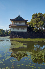 Naklejka premium The Kikyo-bori moat overgrown with water plants around the Tokyo Imperial Palace. Tokyo. Japan