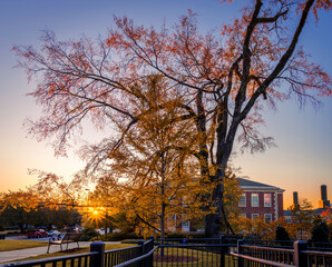 Fall in Auburn University 2022 - obrazy, fototapety, plakaty