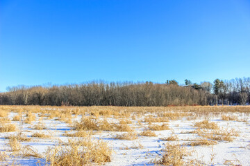 Beautiful winter landscape at the ravine