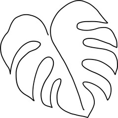 simplicity monstera leaf freehand continuous line drawing