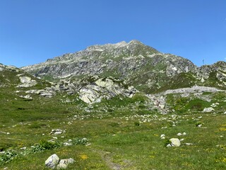 The Monte Prosa peak (2737 m) in the massif of the Swiss Alps and in the area of the mountain St....