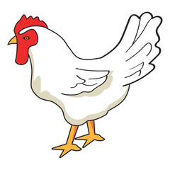 bird hen farm animal
