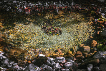 A small river flows through the forest. Water in the stream. The riverbed on a sunny autumn day. Stones in the bed of a mountain river on a sunny day.
