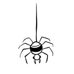 spider on a white backgroundfor Halloween decorations