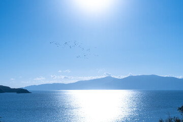 牛窓の海を鳥の群れが渡る