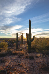 Arizona desert as sun nears setting