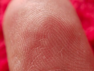 Macro photography of finger print
