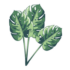 Leaves isolated on white. Green tropical leaves. Hand drawn vector illustration.