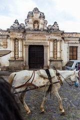 Naklejka premium Horse pulling cart walks down street next to ruins of Seminary