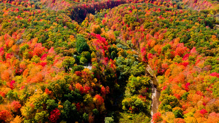 Fototapeta premium Autumn season tiver valley