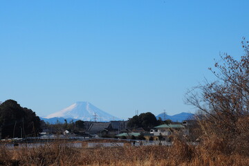 冬の富士山