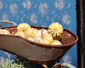 cart with miniature pumpkins 