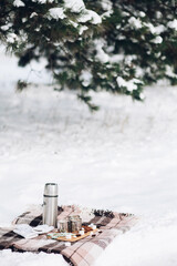 Picnic in the winter forest with cocoa in iron mugs, marmallows and lollipops. Winter eco-picnic on a warm blanket.