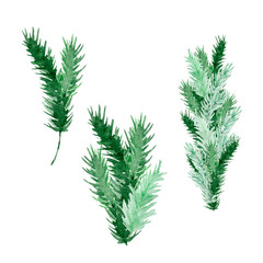 Watercolor set of fir branches