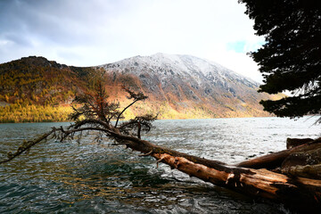 landscape mountain altai, panorama scenery freedom, autumn nature of siberia