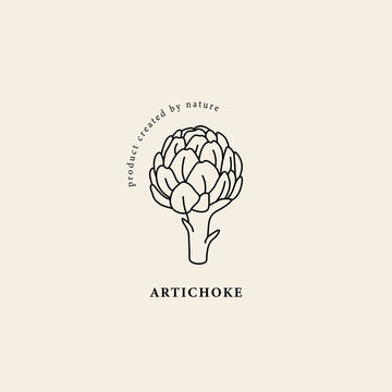 Line Art Artichoke Plant Illustration