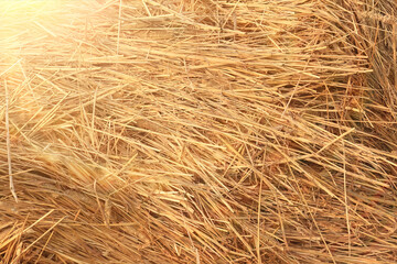 background texture straw yellow nature ornament