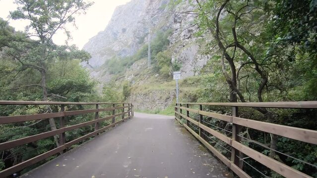 Senda del Oso (Bear Trail) - bridge over Teverga river next to Entrago, Asturias, Spain - dolly forward