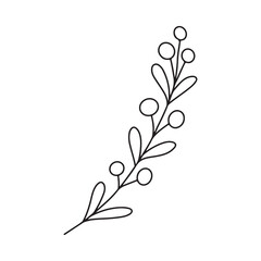 Hand drawn minimalist branch with leaves and berries. Black contour line outline vector illutration in minimal doodle style. Winter holidays floral clip art, greenery