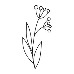 Hand drawn minimalist branch with round leaves. Black contour line outline vector illutration in minimal doodle style. Winter holidays floral clip art, greenery