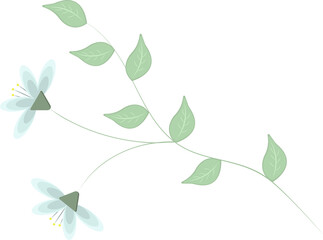 Obraz premium Flower twig with green leaves and blue flowers on transparent background.