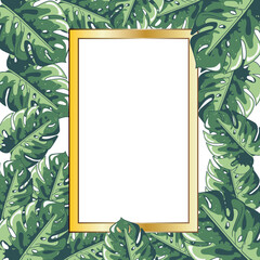 Hand drawn frame color tropical banner with jungle leaves. Exotic leaves illustrations frame  jungle tree.