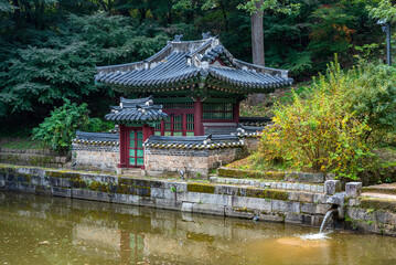Naklejka premium Changdeokgung royal palace of the Joseon dynasty in Autumn in Seoul South Korea