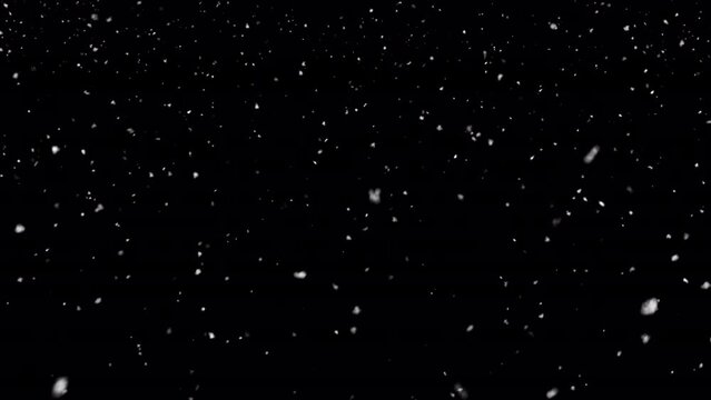 Winter snow - falling snow animation, seamless loop. ProRes 4444 with alpha channel
