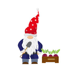 Cute little gnome with a shovel and a box of vegetables. Fairy tale vector illustration. For use in the design of cards, invitations, fabrics and prints, children's rooms, shops.