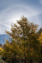 秋の高原の風景