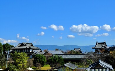 奈良県の城，郡山城跡，郡山城天守台展望施設，日本100名城，, 建築, 旅行, 空, 木, 道, 風景, 景色, 観光, 自然