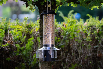 bird feeder with food and seads