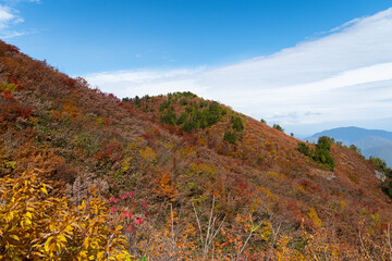 紅葉を見ながら山に登る　岐阜県三方岩岳