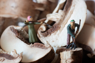 Sliced chestnut mushrooms on a slate cutting board, with miniature scale model gardeners with tools