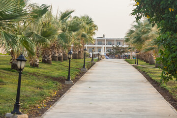 path with palm trees and lantern in a resort on egypt