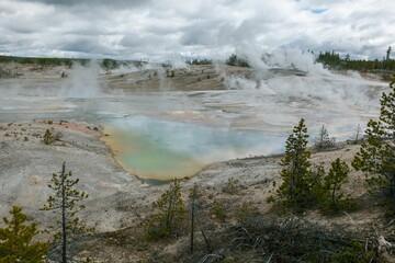 Scenic view of a geothermal area against a green forest on a cloudy day