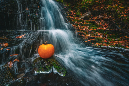 Pumpkin in waterfall