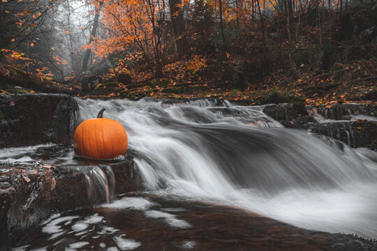 Pumpkin at waterfall in autumn